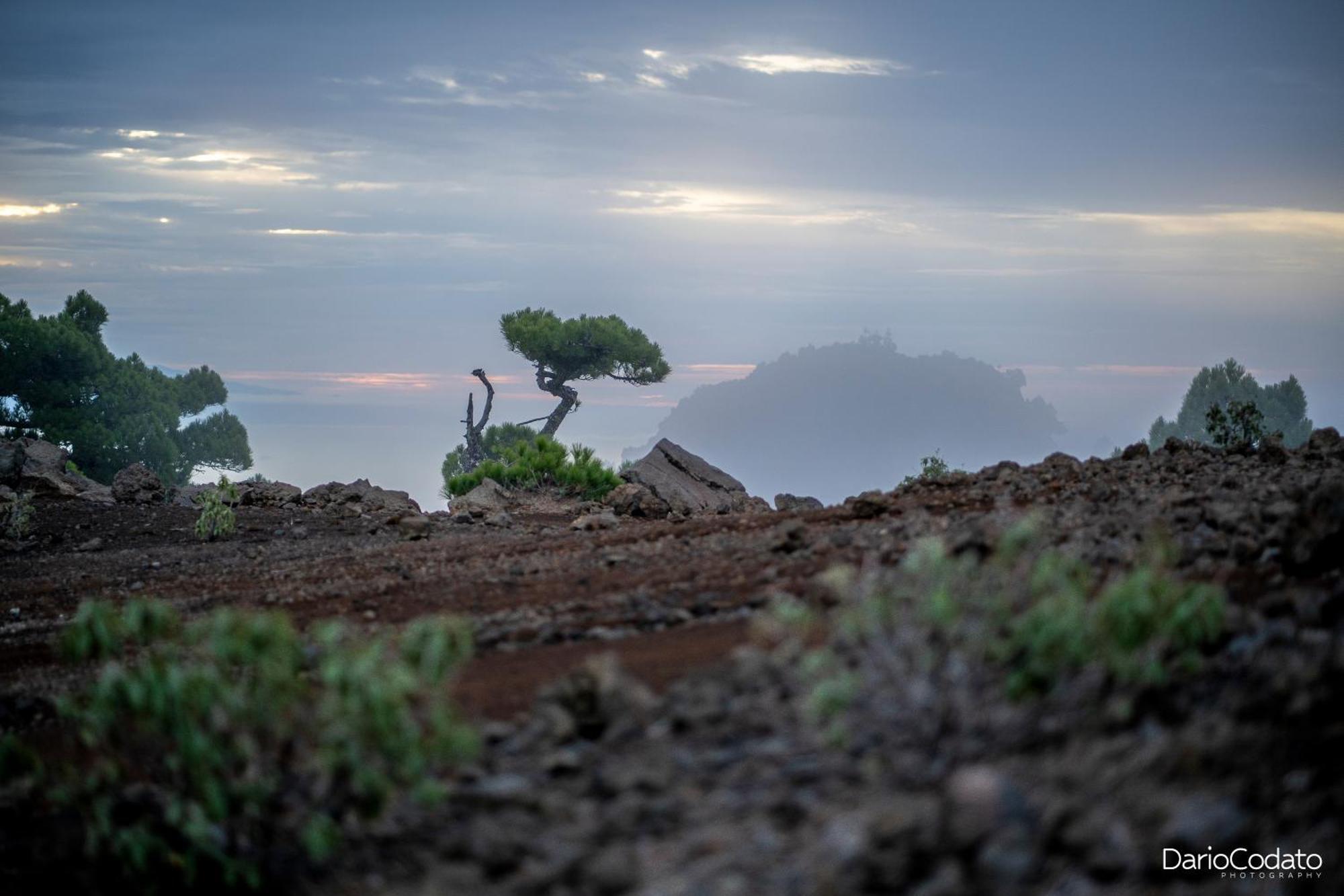 Atico Moderno - Out Of Blue Daire Santa Cruz de la Palma  Dış mekan fotoğraf